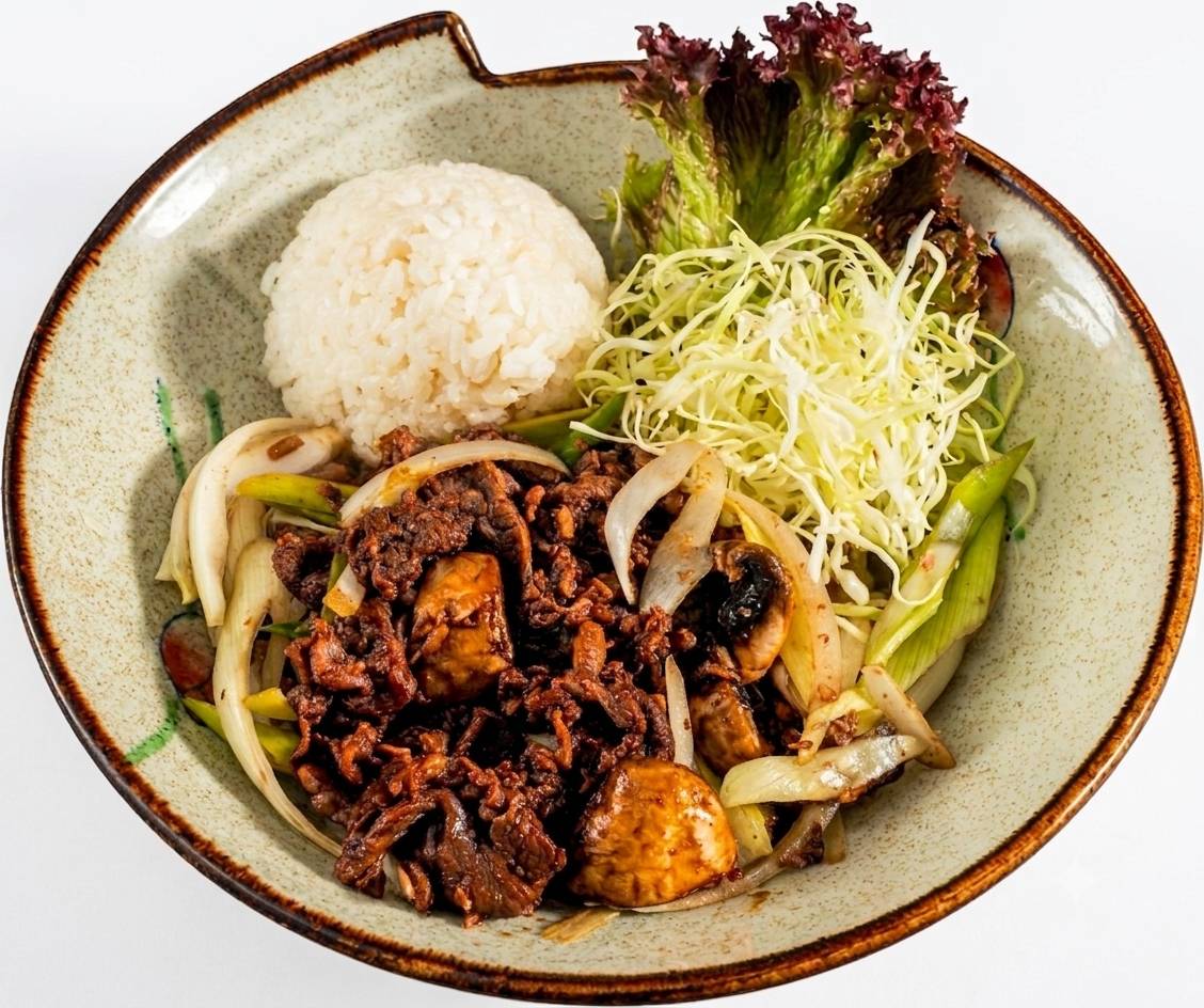 BULGOGI DOPBAB 불고기덮밥