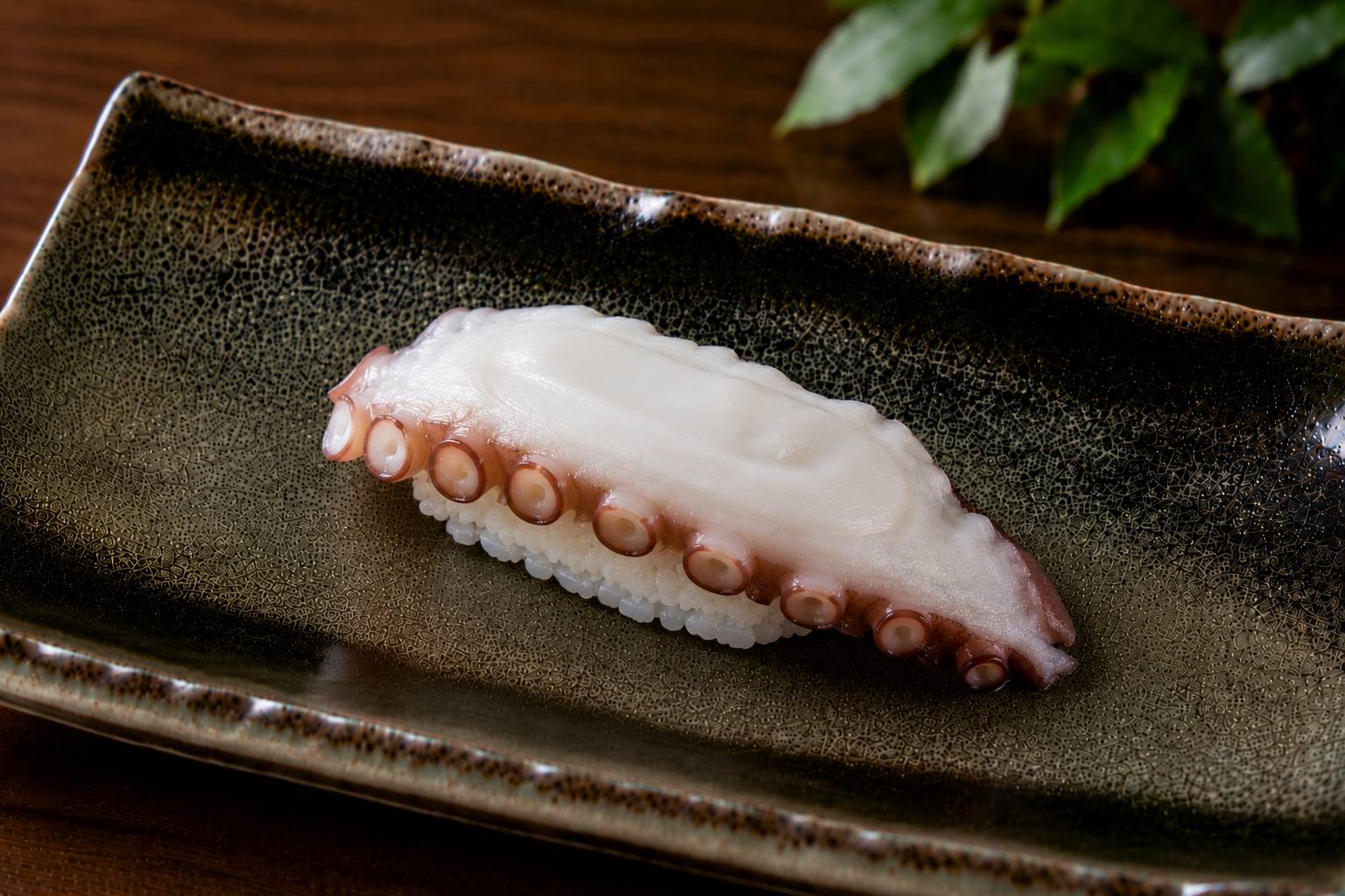 Oktopus