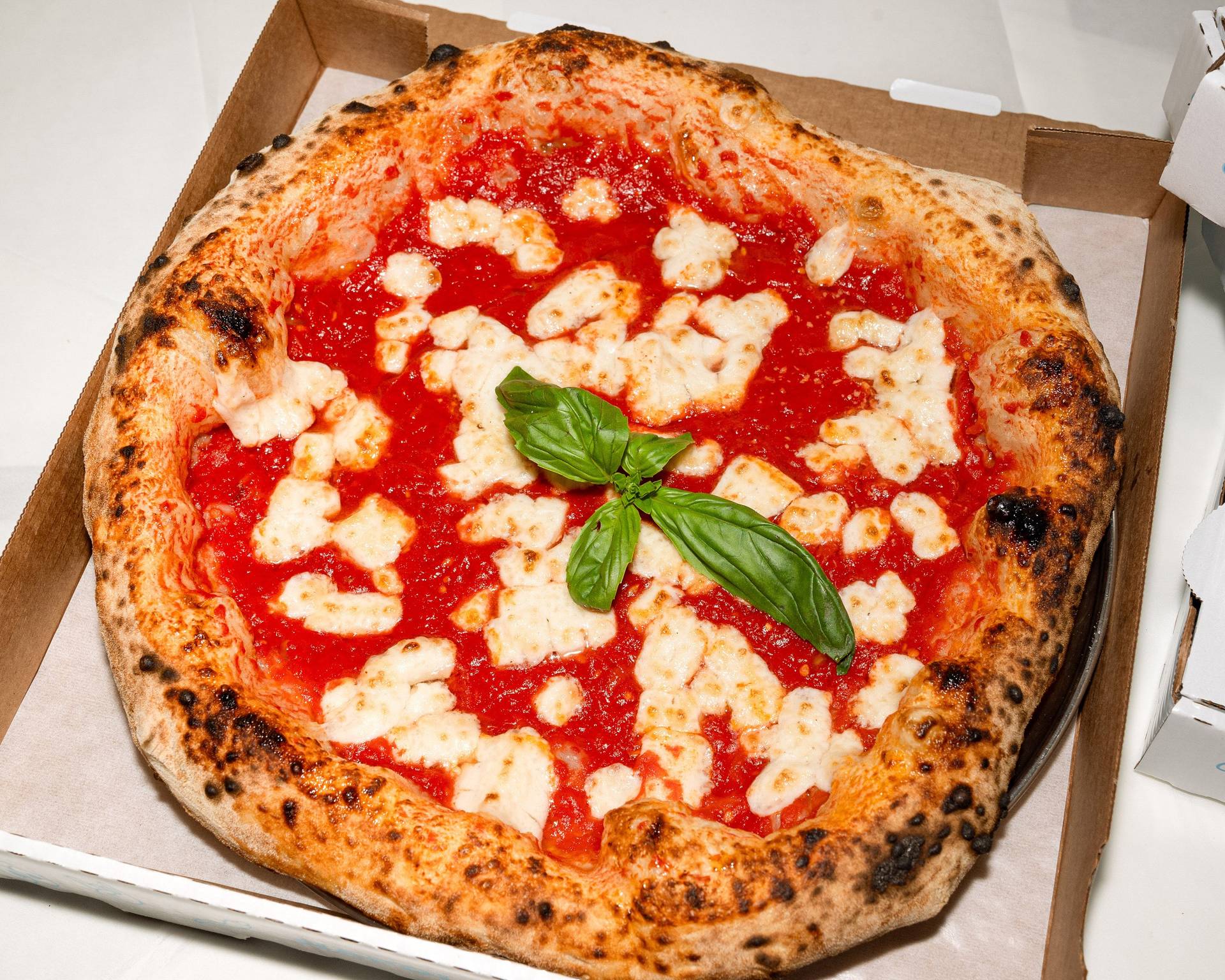 Margherita Combo