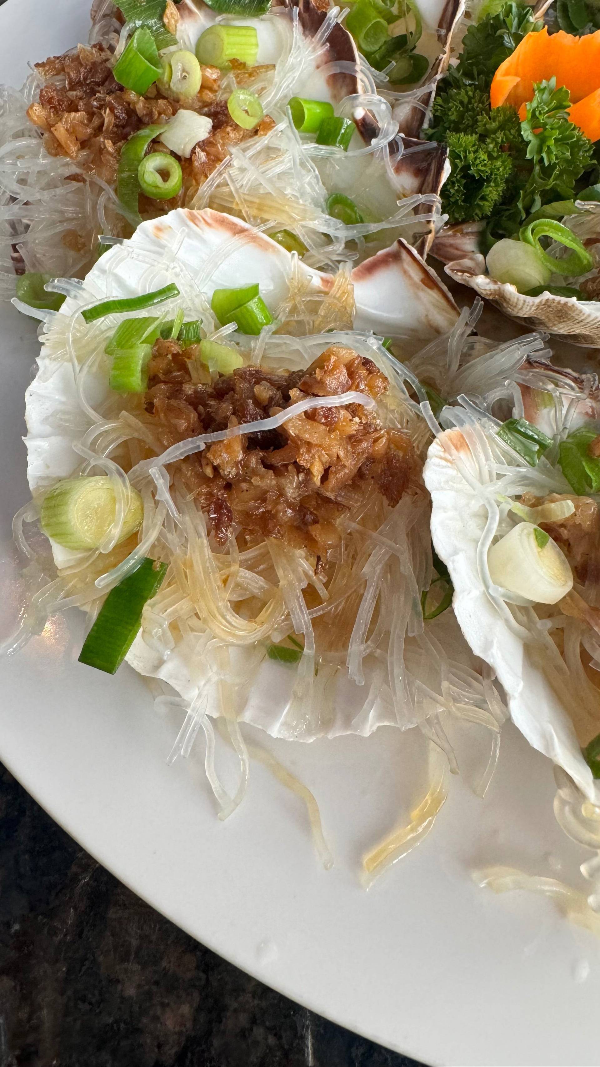 Jakobsmuschel扇贝 一只